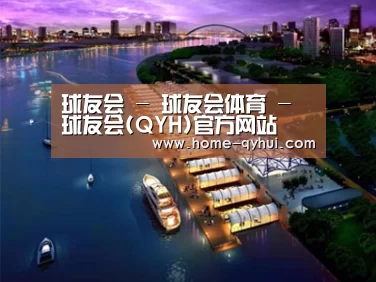 案例展示八
