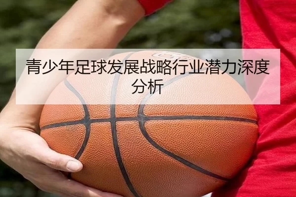 青少年足球发展战略行业潜力深度分析