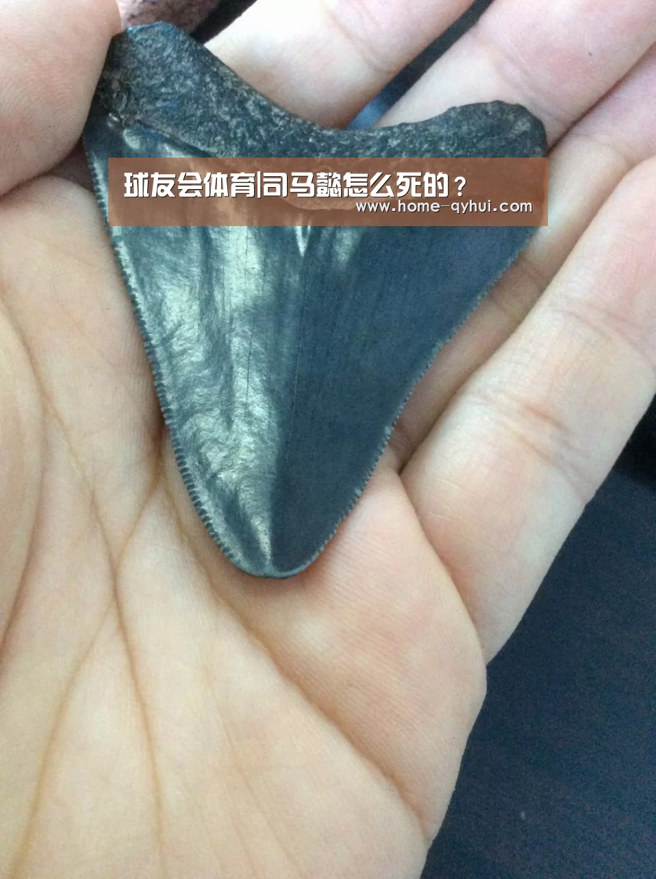 球友会体育|司马懿怎么死的?(图3) 球友会体育